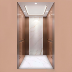 golift luxury passenger elevator