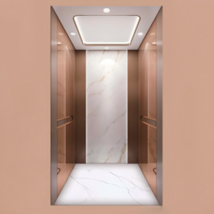 golift luxury passenger elevator