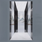 golift luxury passenger elevator