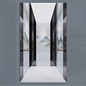 golift luxury passenger elevator