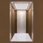 golift luxury passenger elevator