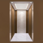 golift luxury passenger elevator