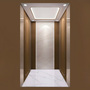golift luxury passenger elevator