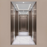golift luxury passenger elevator
