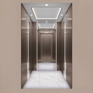 golift luxury passenger elevator